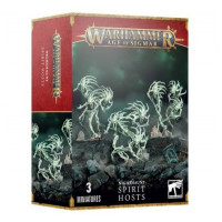 Купити Ігровий набір AGE OF SIGMAR: NIGHTHAUNT - SPIRIT HOSTS Магазин SkyHobby Київ Україна. 3D міні фігурки для настільних ігор